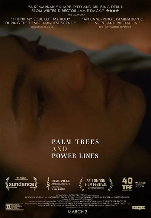 Palm Trees and Power Lines